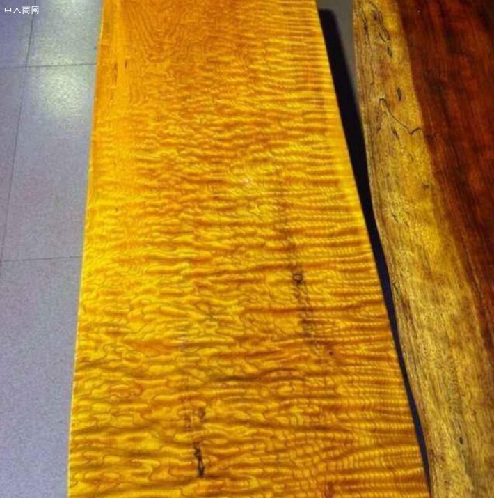烏木和金絲楠陰沉木有啥區別？
