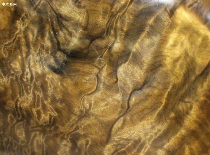 金絲楠木的密度偏低并不屬于國標紅木