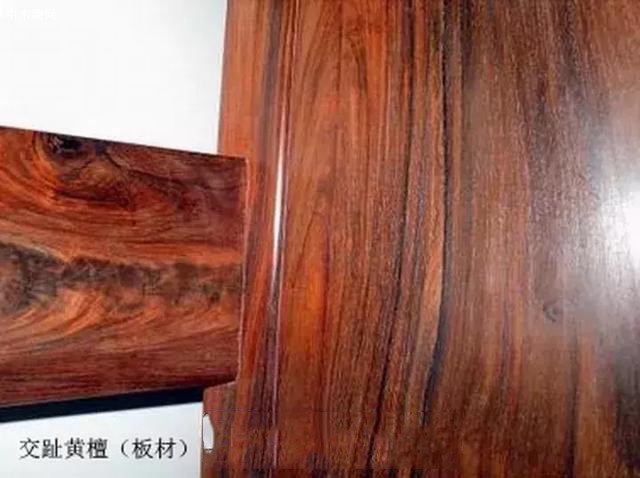 交趾黃檀