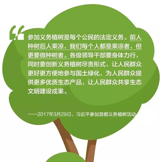 植樹造林圖片