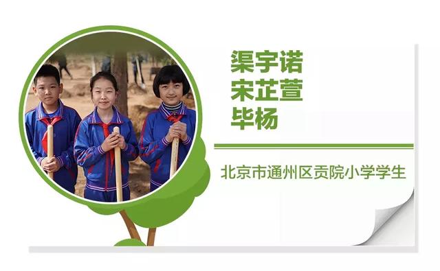 今年有五位代表在總書記身邊參加了義務植樹。