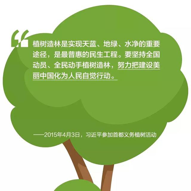 植樹造林效果圖