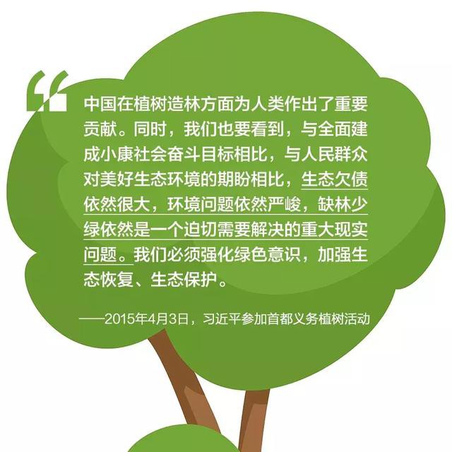 植樹造林圖片美圖