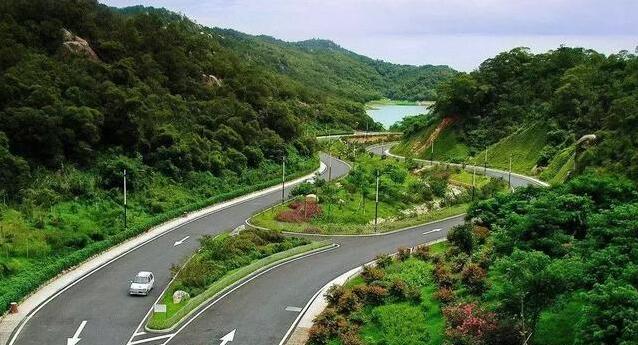 中等規格、高度粗度一致的苗木