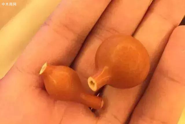上半部分的龍頭若不細心呵護，實在易斷