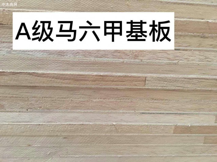 桐木馬六甲基材生態板高清圖片