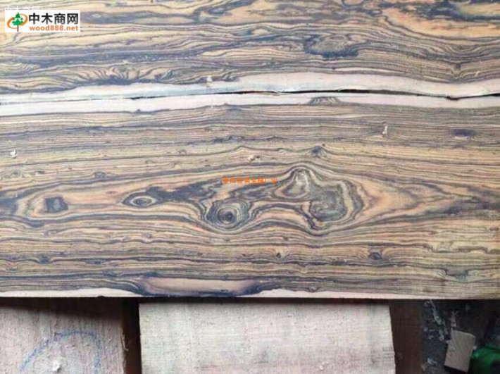 http://hjtcj.wood888.net