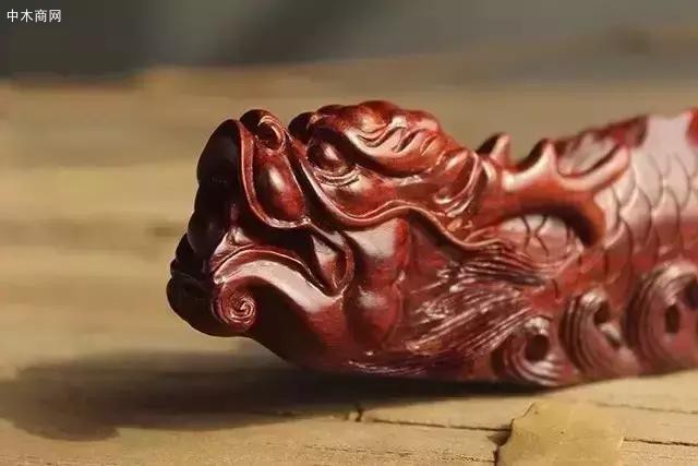 是魚在變?yōu)辇埵堑囊环N過度狀態(tài)
