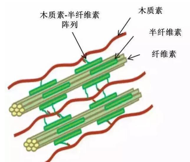 木材炭化的作用機理是在高溫作用下