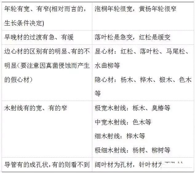 部分木材宏觀結構特征表