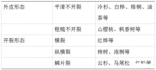 部分樹皮識別法