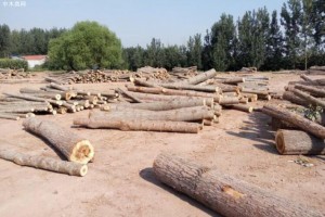 未辦手續(xù)私開工,內蒙古一木材工廠被查處