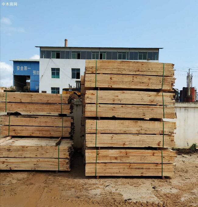 中國林產工業協會社會責任報告在京發布