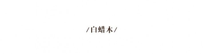 首先是要介紹我們木材中的顏值擔當白蠟木了