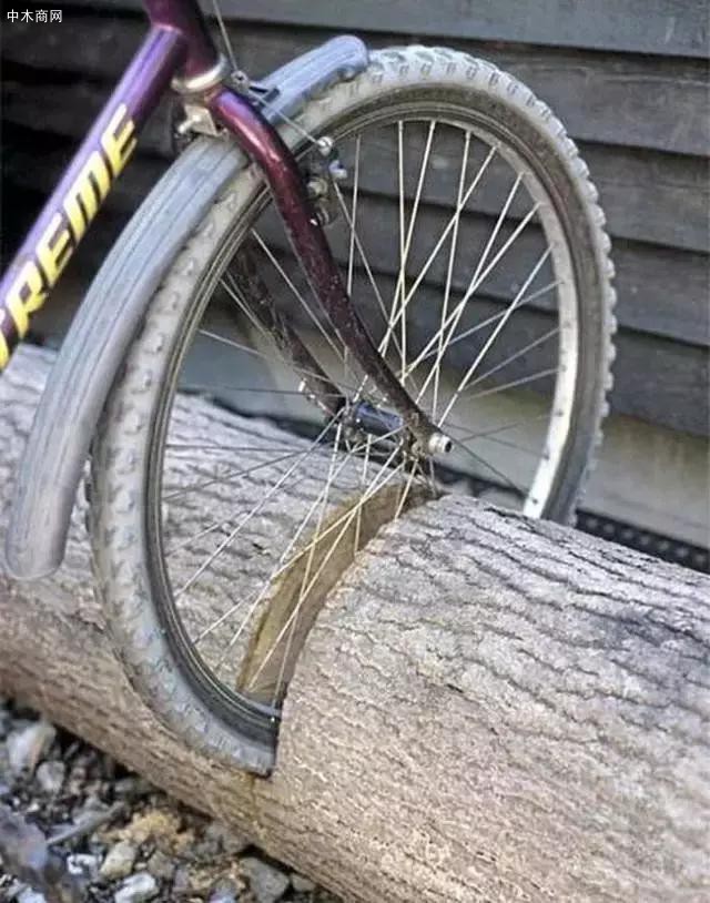 木頭的特點