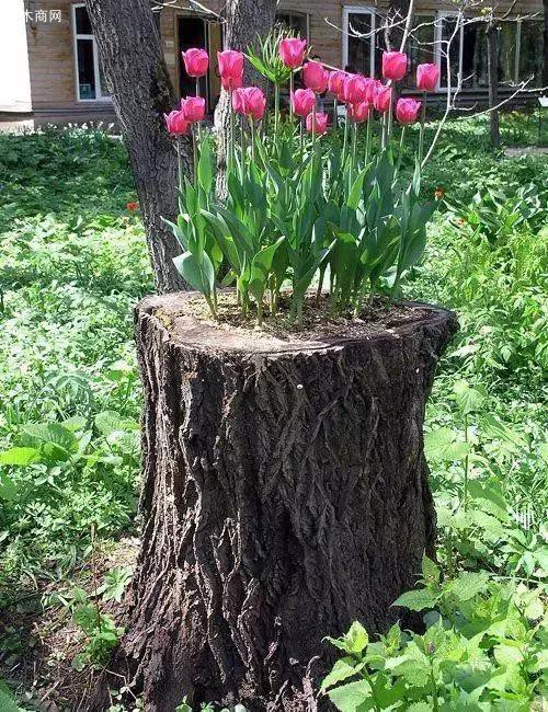 木頭裝飾圖片大全