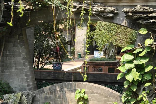 與百年龍眼樹毗鄰的是桃形花窗