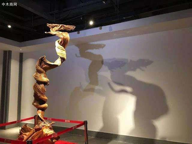 崖柏飛龍在天