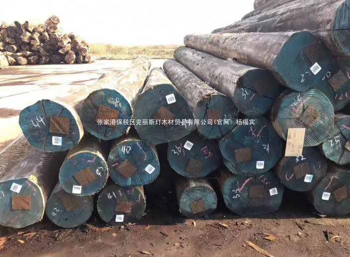 加蓬經濟特區每年可處理約200萬立方米的原木「進口原木」