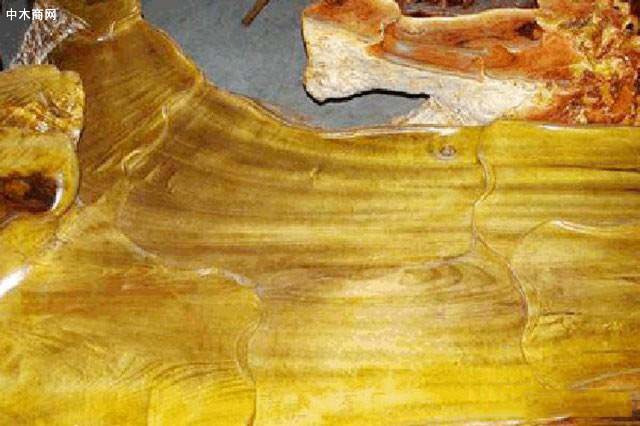 金絲楠韌性相對較好