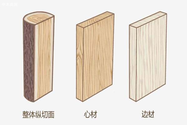 白蠟木 木材形態(tài)特征