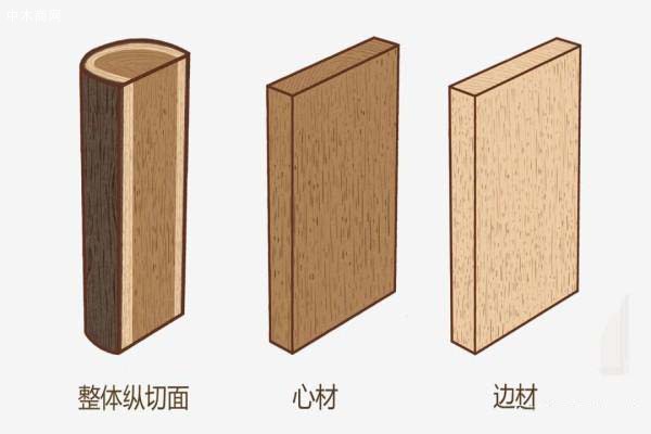 橡膠木 木材形態(tài)特征