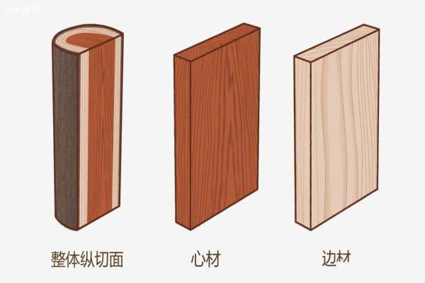 紅松 木材形態(tài)特征