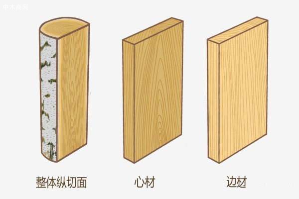 樺木 木材形態(tài)特征