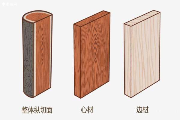 核桃木 木材形態(tài)特征
