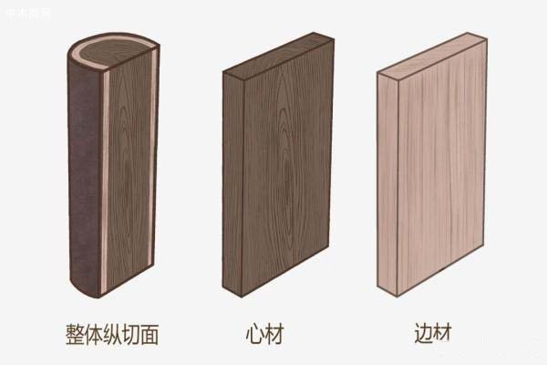 北美黑胡桃 木材形態(tài)特征