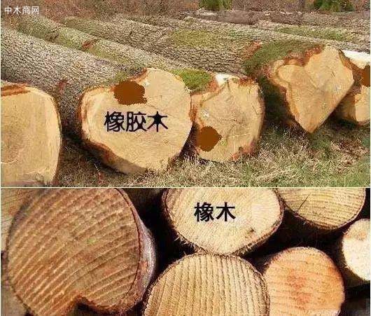 買家具——如何辨別橡木還是橡膠木？