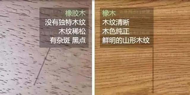 橡木和橡膠木的鑒別