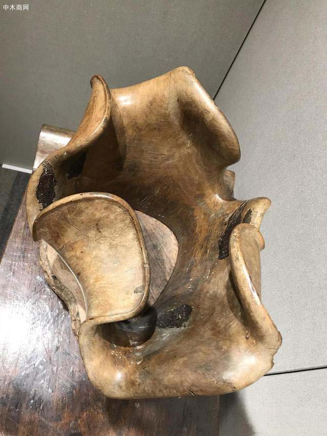筆筒外翻的輪廓的確有些像彎卷的荷葉