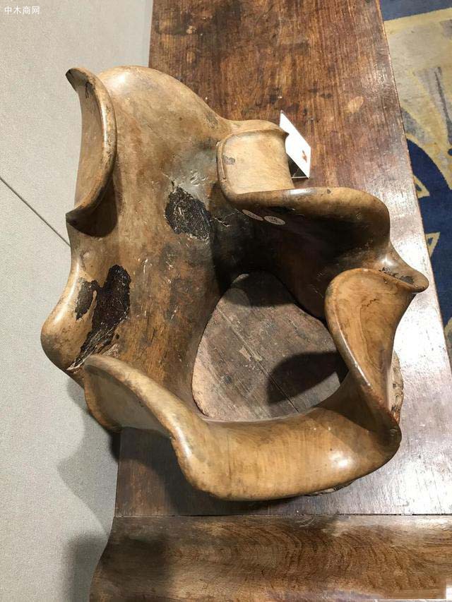 面對這塊不成材的珍貴木頭端詳良久