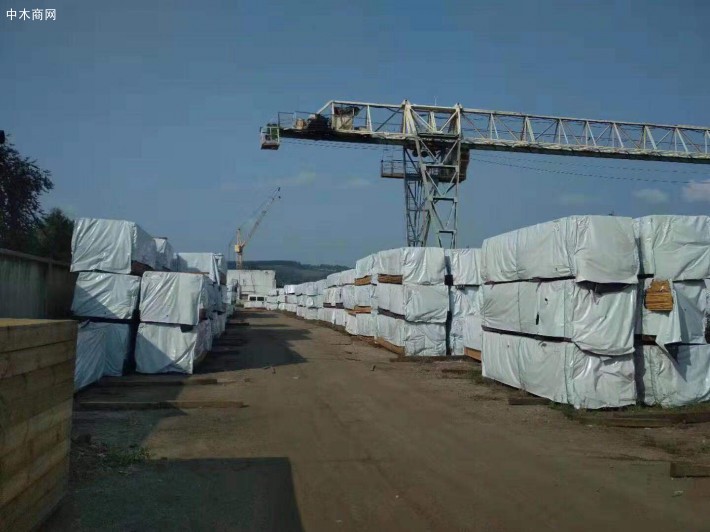木業進出口企業法律法規培訓會在潯召開