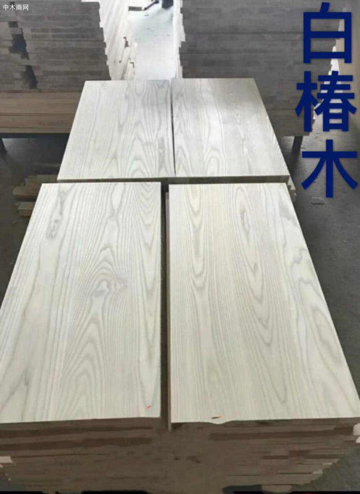 白椿木烘干板材品牌價格