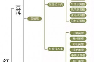 紅木家具都是指哪類木頭？有什么區(qū)別？