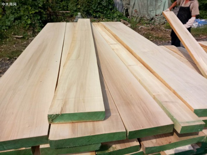 白楊木木材用作建筑用材