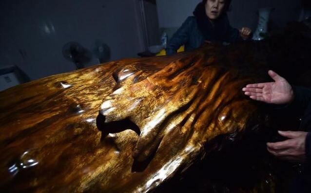 金絲楠木若深埋地下幾千年