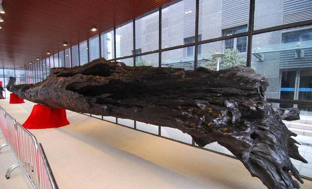 金絲楠木具有不開裂、蟲不蛀