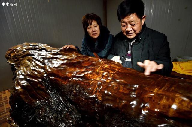埋在地下幾千年歷史的楠木值錢不？