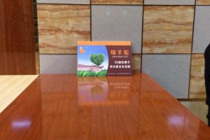 錦羊駝實木復合生態板