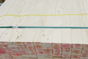 東營市生態環境局局長丁建民率隊突擊檢查部分重點企業
