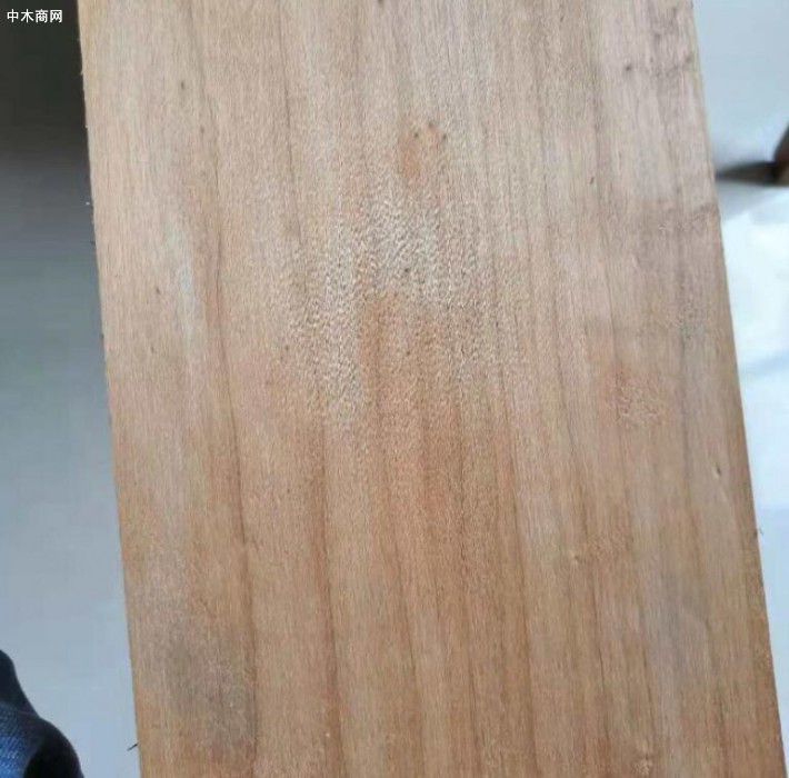 楊木板價格多少錢一方？