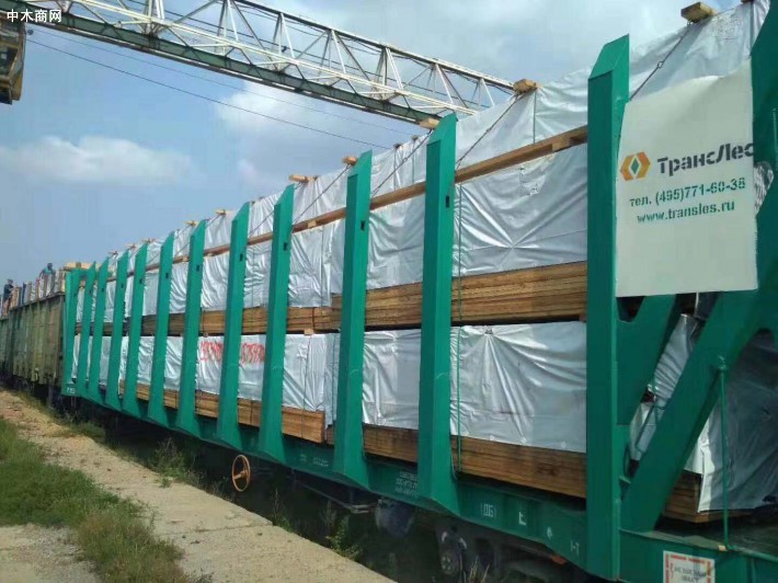 前七個月俄羅斯木材實際出口量同比下降0.4%