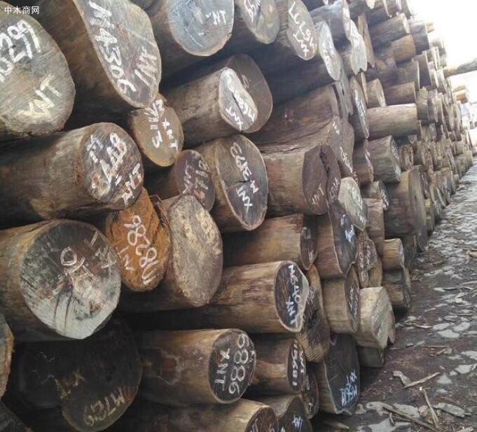 所羅門大葉紫檀怎么樣