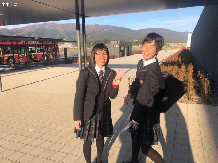 大樹比較終依然孤獨地死去
