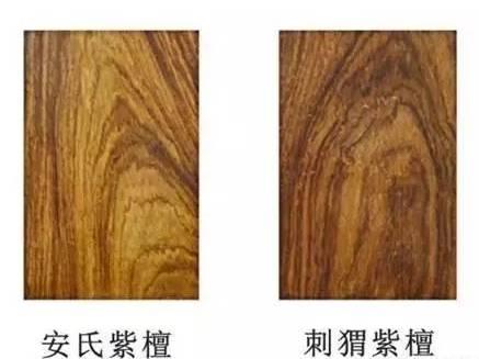 安氏紫檀
