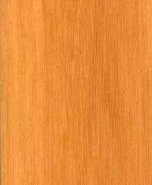 大甘巴豆