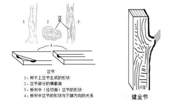 健全節(jié)